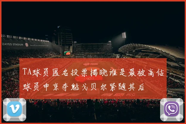 TA球员匿名投票揭晓谁是最被高估球员申京夺魁戈贝尔紧随其后