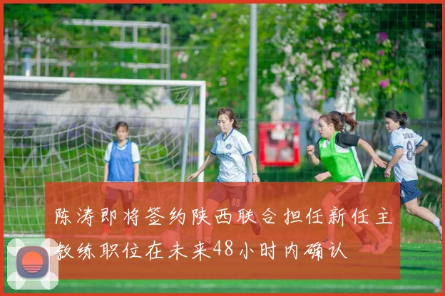 陈涛即将签约陕西联合担任新任主教练职位在未来48小时内确认